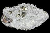 Gleaming Cubic Pyrite Cluster with Quartz - Peru #98058-1